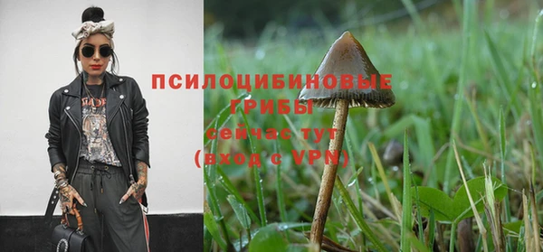 прущие крисы Баксан