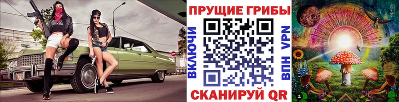 Псилоцибиновые грибы Psilocybe  Кубинка 